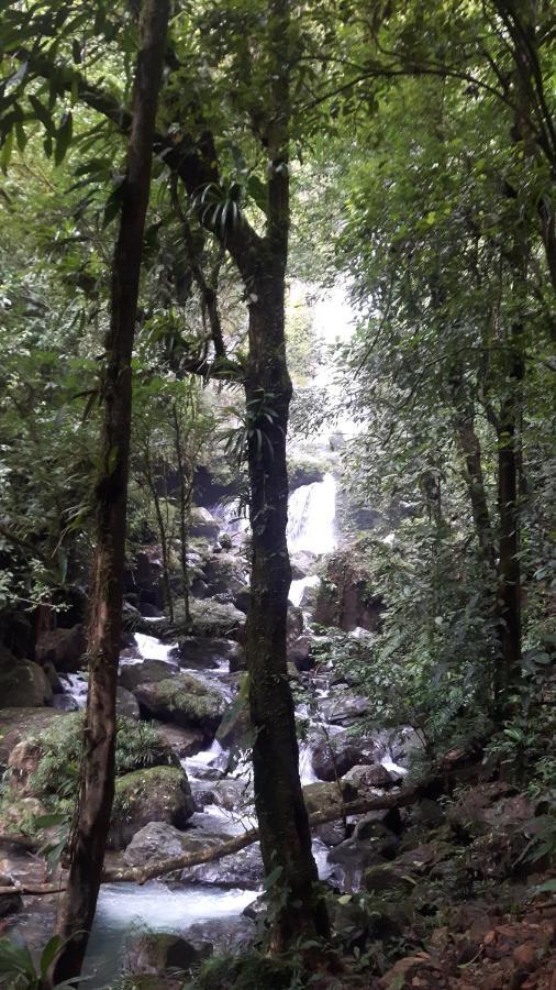 Rainforest Yasmin Hotel Santa Fe  Exterior foto